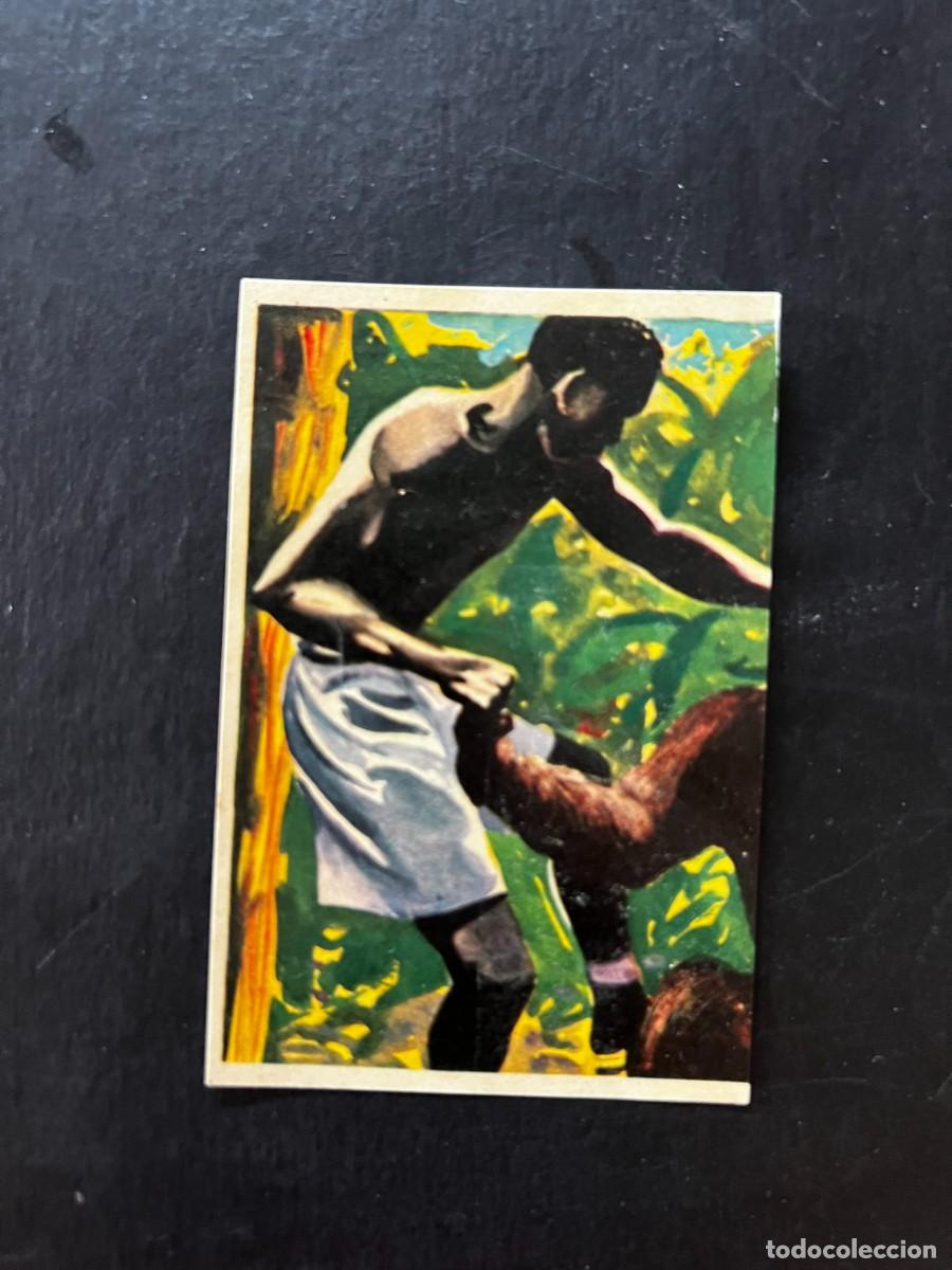 Coleccionismo cromos antiguos: Cromo album COSMORAMA DE AFRICA de Chocolates Torras a&ntilde;o 1960 n&ordm; 41