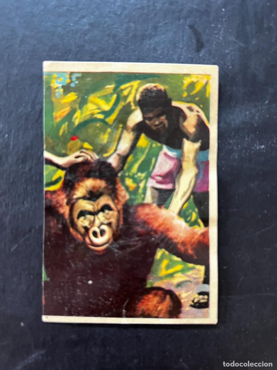 Coleccionismo cromos antiguos: Cromo album COSMORAMA DE AFRICA de Chocolates Torras a&ntilde;o 1960 n&ordm; 42