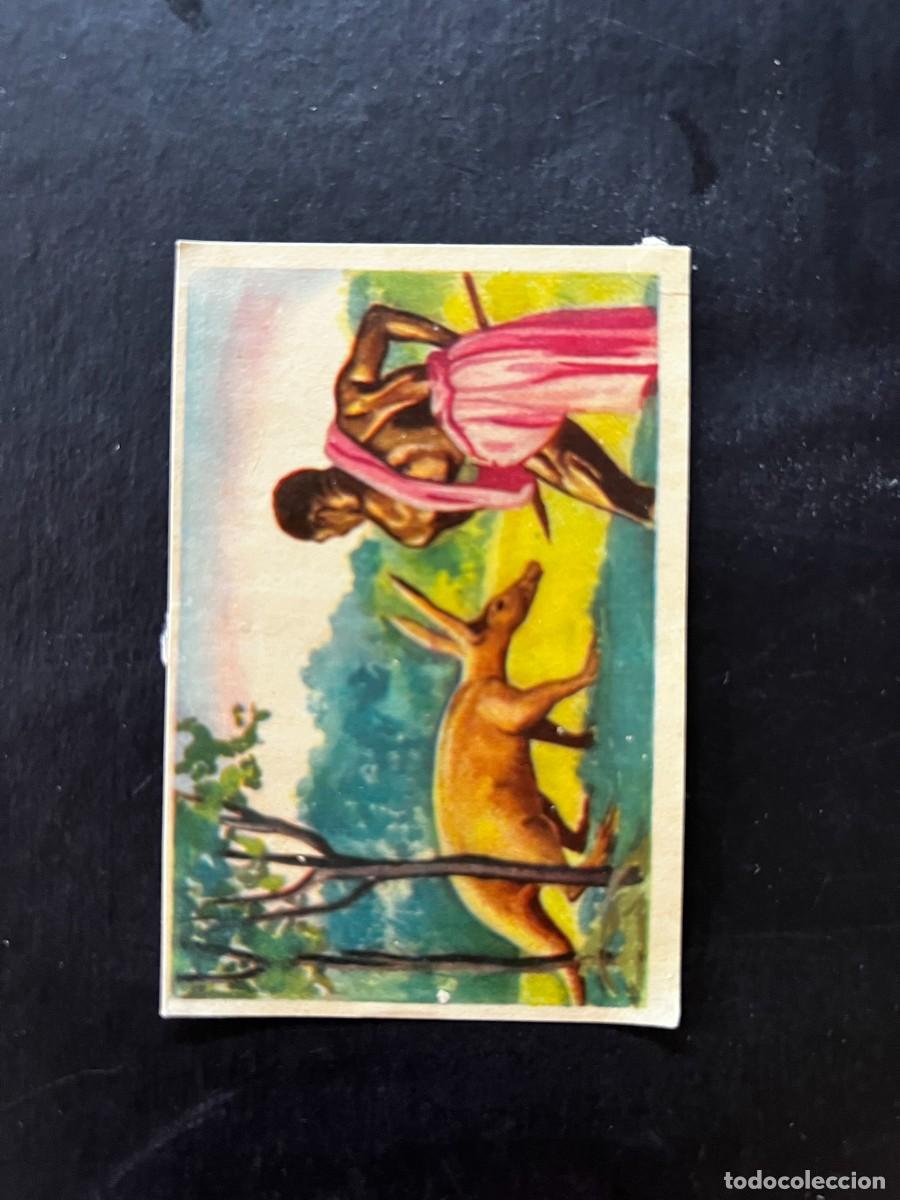 Coleccionismo cromos antiguos: Cromo album COSMORAMA DE AFRICA de Chocolates Torras a&ntilde;o 1960 n&ordm; 44