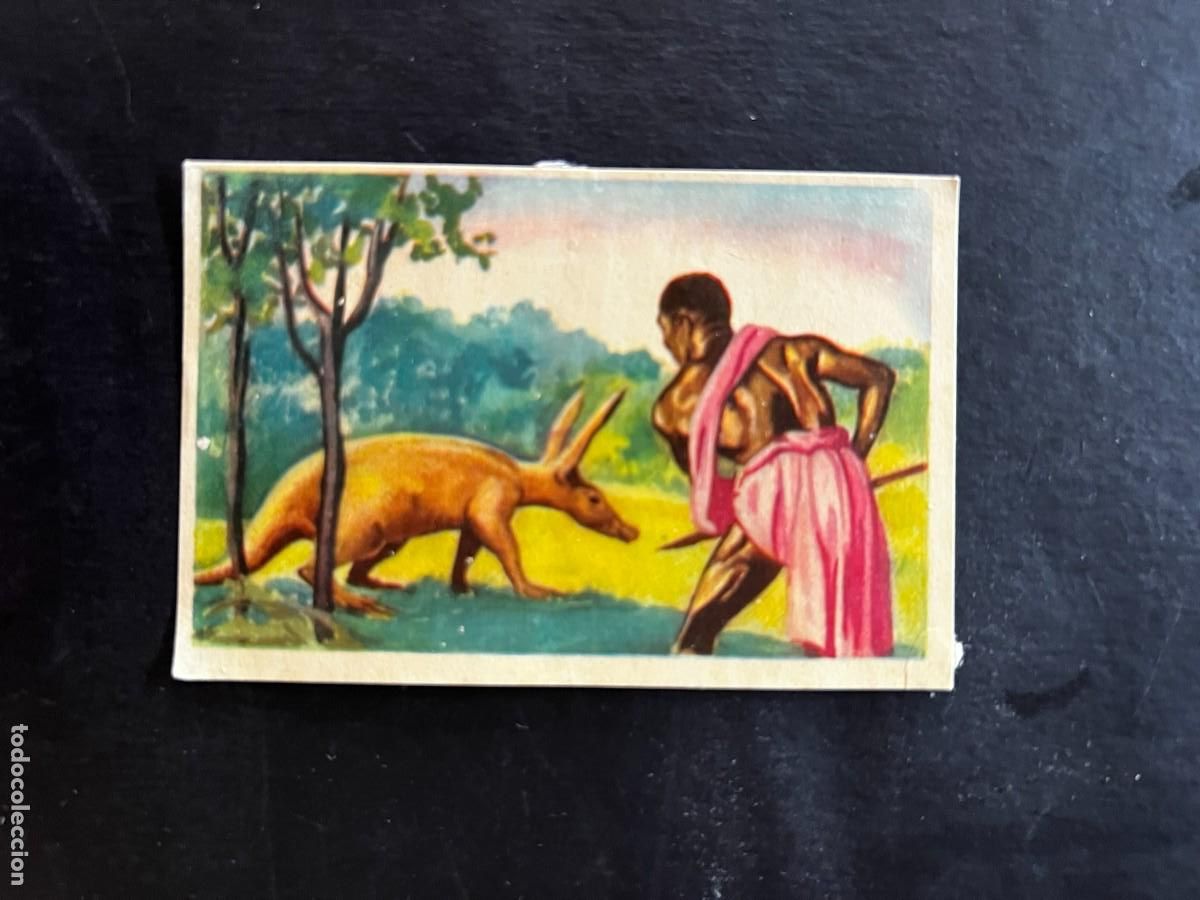 Collectionnisme Cartes &agrave; collectionner anciennes: Cromo album COSMORAMA DE AFRICA de Chocolates Torras a&ntilde;o 1960 n&ordm; 44