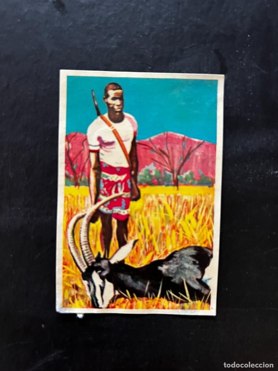 Coleccionismo cromos antiguos: Cromo album COSMORAMA DE AFRICA de Chocolates Torras a&ntilde;o 1960 n&ordm; 46