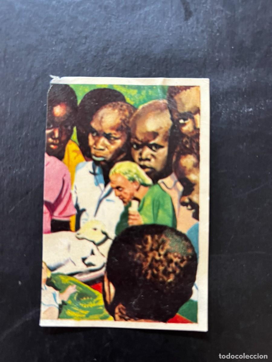 Collectable Antique Stickers: Cromo album COSMORAMA DE AFRICA de Chocolates Torras a&ntilde;o 1960 n&ordm; 58