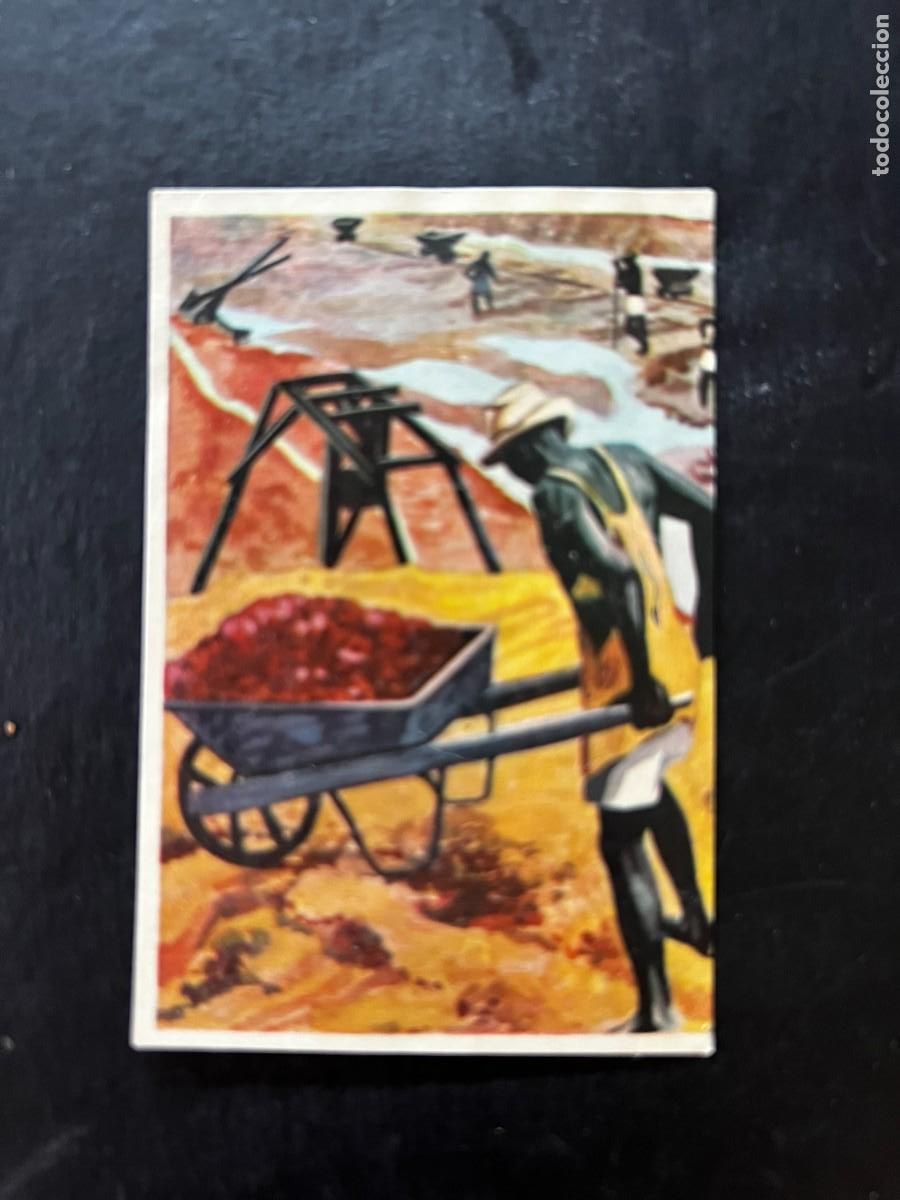 Collectable Antique Stickers: Cromo album COSMORAMA DE AFRICA de Chocolates Torras a&ntilde;o 1960 n&ordm; 68