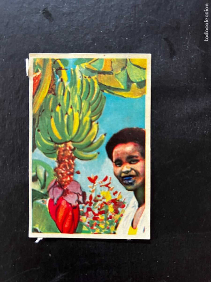 Collectable Antique Stickers: Cromo album COSMORAMA DE AFRICA de Chocolates Torras a&ntilde;o 1960 n&ordm; 70
