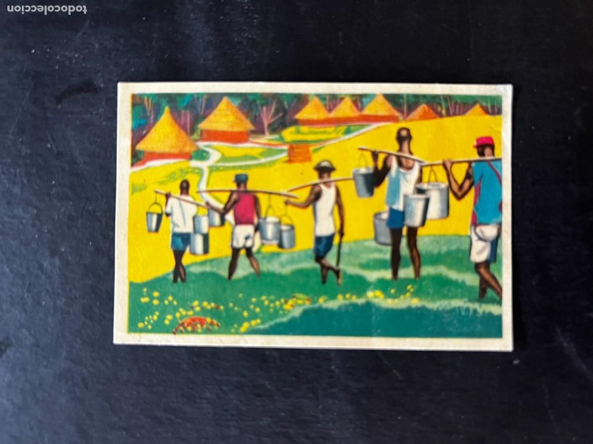 Collectable Antique Stickers: Cromo album COSMORAMA DE AFRICA de Chocolates Torras a&ntilde;o 1960 n&ordm; 71