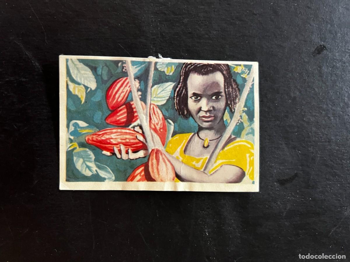 Collectable Antique Stickers: Cromo album COSMORAMA DE AFRICA de Chocolates Torras a&ntilde;o 1960 n&ordm; 75