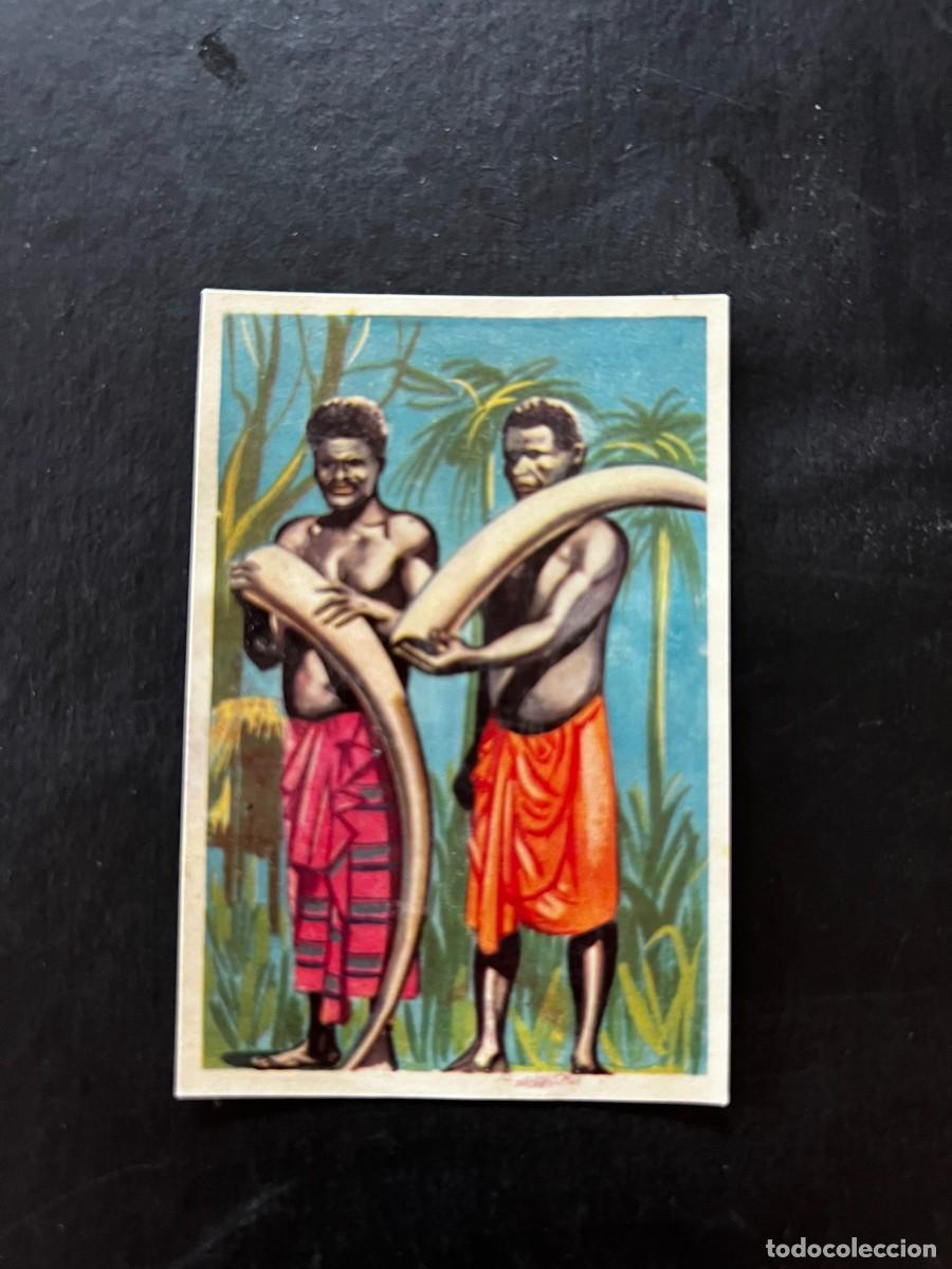 Collectable Antique Stickers: Cromo album COSMORAMA DE AFRICA de Chocolates Torras a&ntilde;o 1960 n&ordm; 80