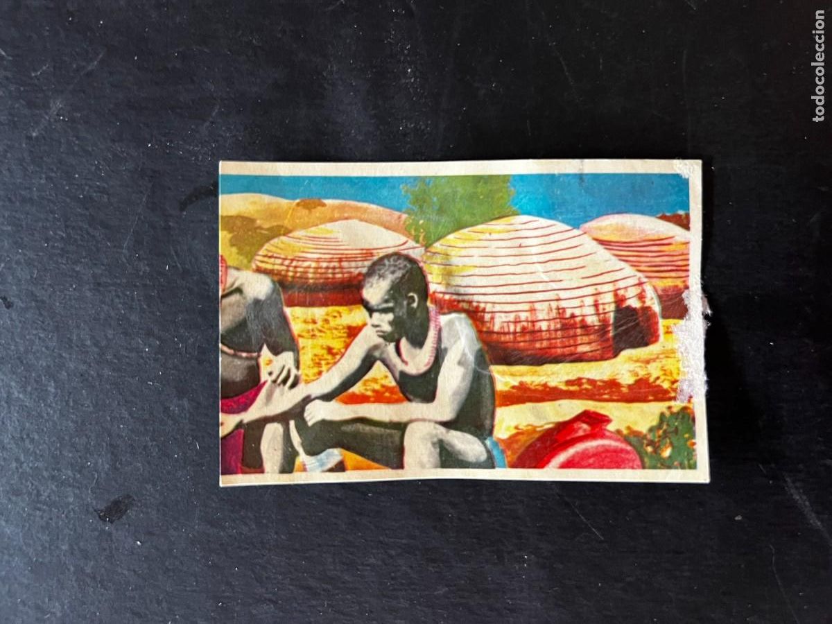 Collectionnisme Cartes &agrave; collectionner anciennes: Cromo album COSMORAMA DE AFRICA de Chocolates Torras a&ntilde;o 1960 n&ordm; 112