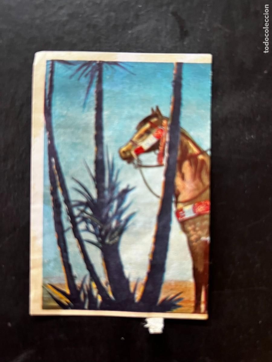Coleccionismo cromos antiguos: Cromo album COSMORAMA DE AFRICA de Chocolates Torras a&ntilde;o 1960 n&ordm; 132