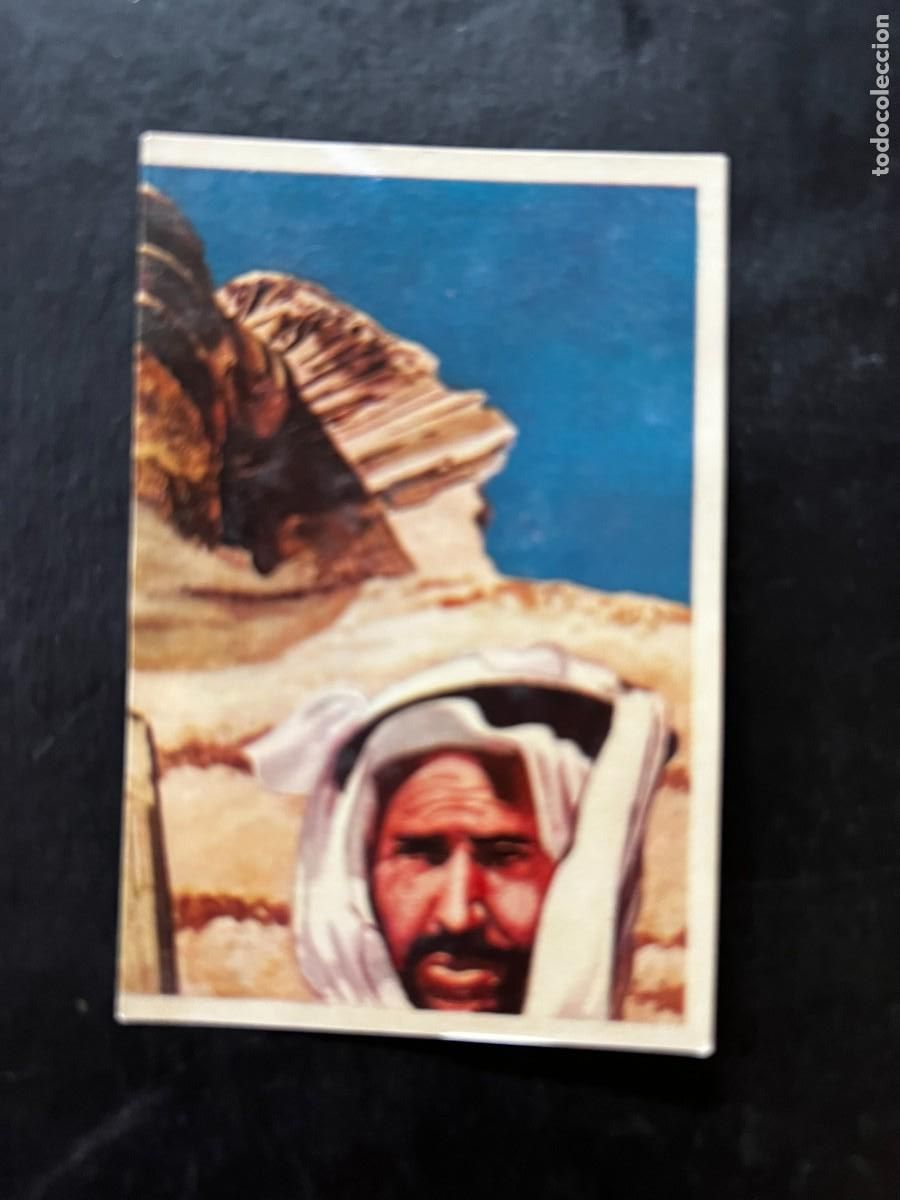 Colecionismo Cromos antigos: Cromo album COSMORAMA DE AFRICA de Chocolates Torras a&ntilde;o 1960 n&ordm; 146