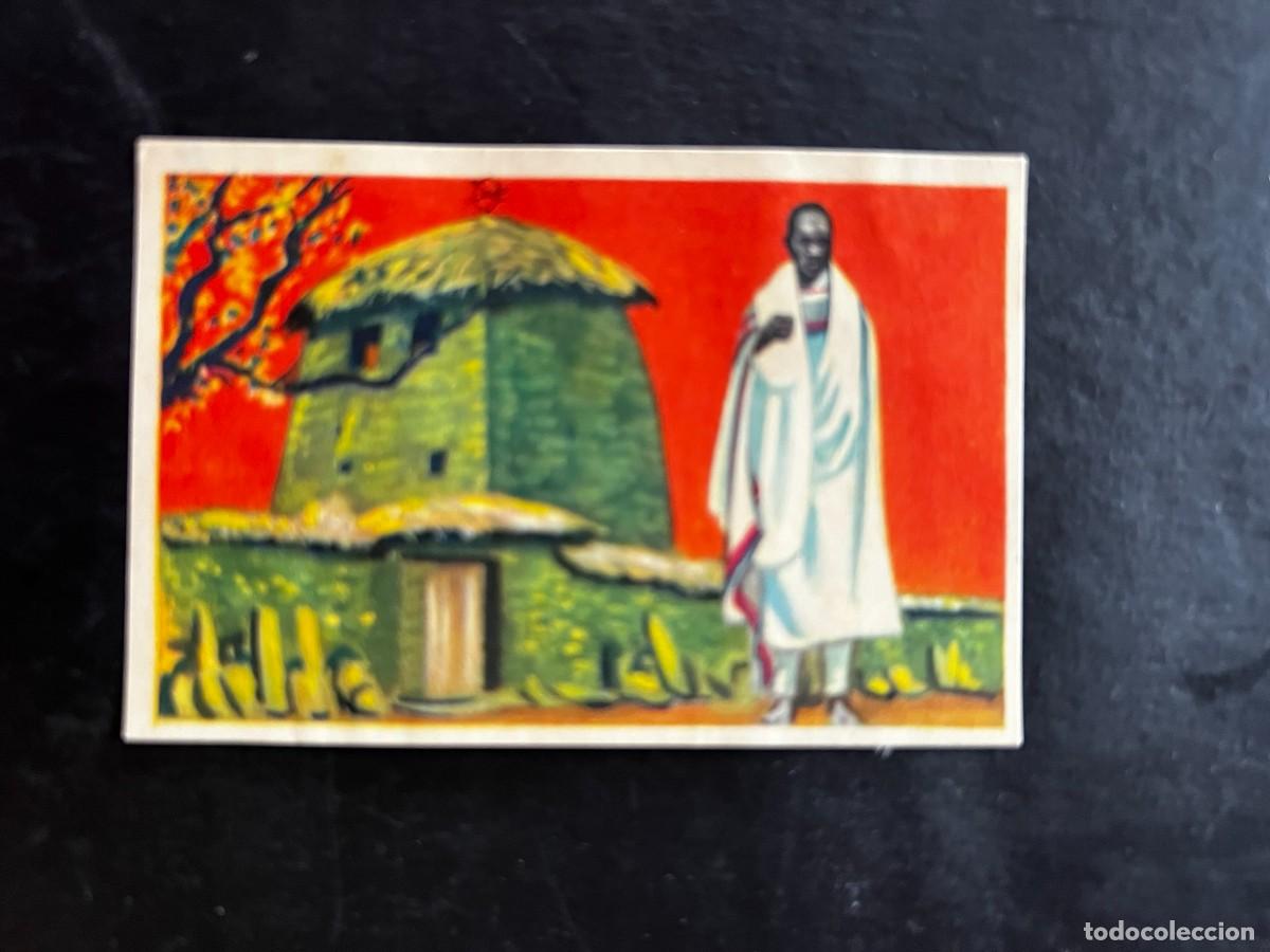 Coleccionismo cromos antiguos: Cromo album COSMORAMA DE AFRICA de Chocolates Torras a&ntilde;o 1960 n&ordm; 167