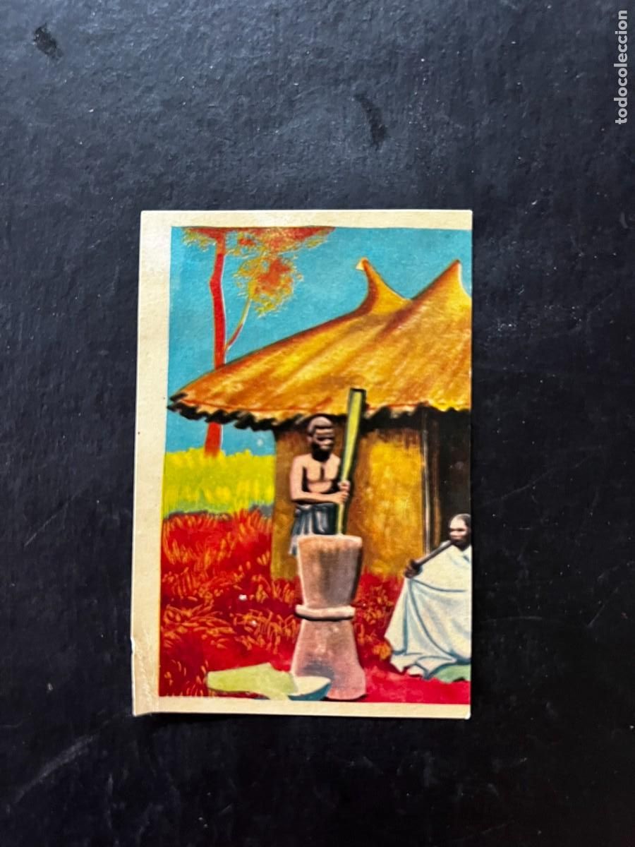 Coleccionismo cromos antiguos: Cromo album COSMORAMA DE AFRICA de Chocolates Torras a&ntilde;o 1960 n&ordm; 170