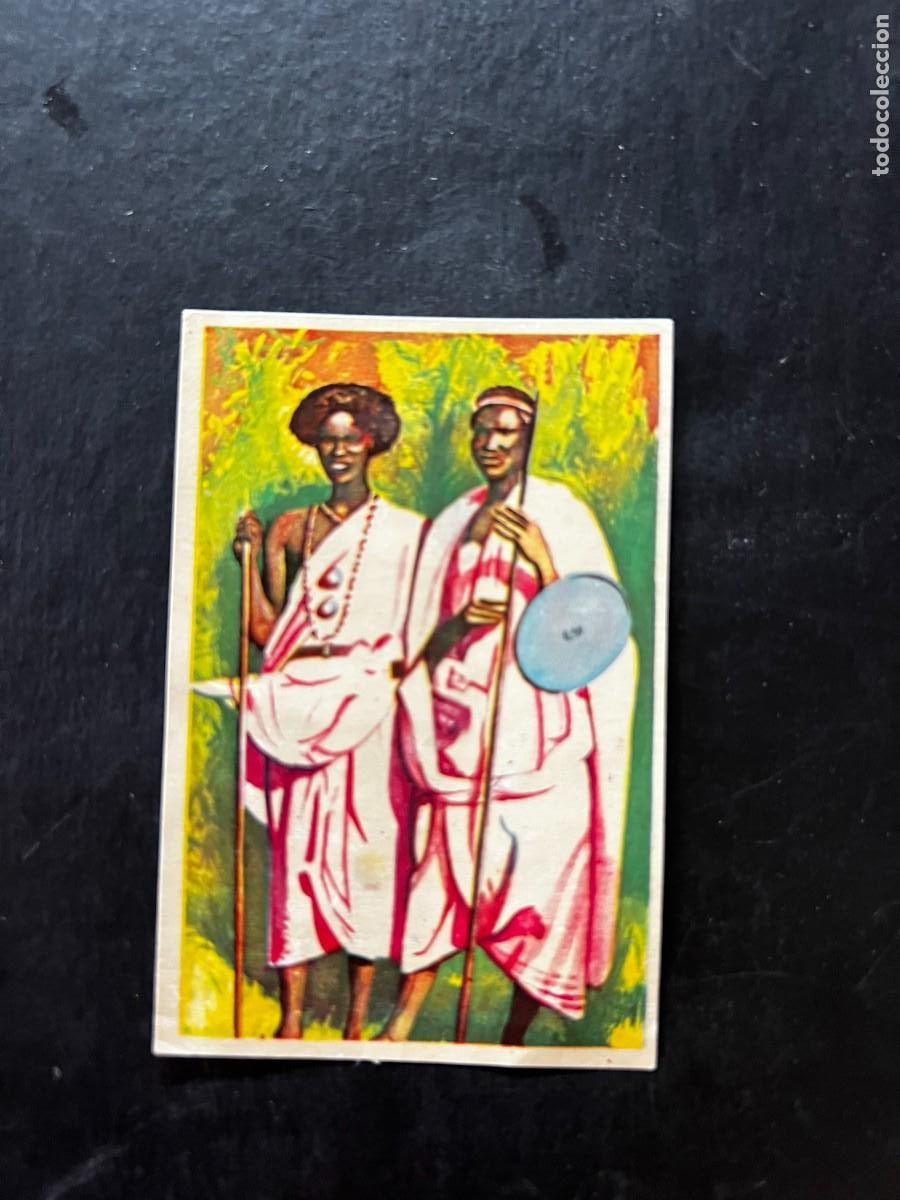Coleccionismo cromos antiguos: Cromo album COSMORAMA DE AFRICA de Chocolates Torras a&ntilde;o 1960 n&ordm; 172