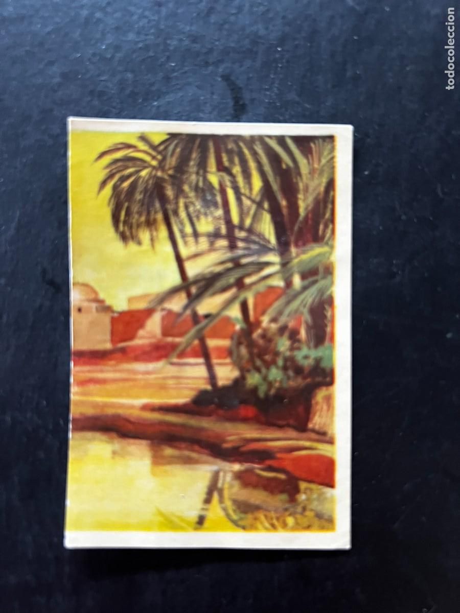 Coleccionismo cromos antiguos: Cromo album COSMORAMA DE AFRICA de Chocolates Torras a&ntilde;o 1960 n&ordm; 176