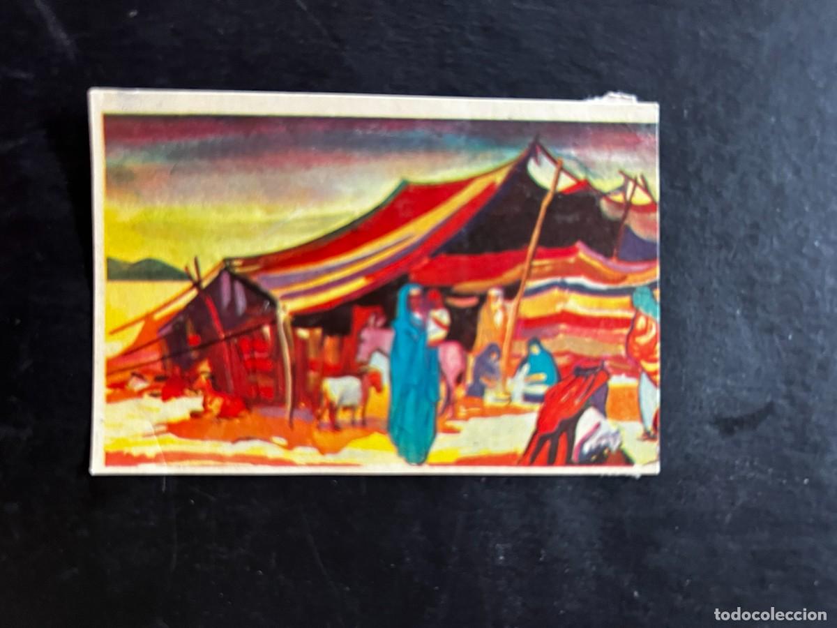Coleccionismo cromos antiguos: Cromo album COSMORAMA DE AFRICA de Chocolates Torras a&ntilde;o 1960 n&ordm; 184