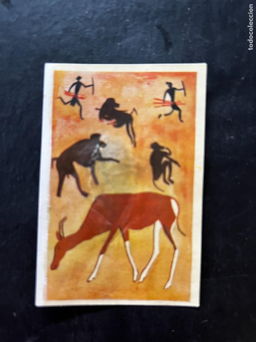 Colecionismo Cromos antigos: Cromo album COSMORAMA DE AFRICA de Chocolates Torras a&ntilde;o 1960 n&ordm; 193