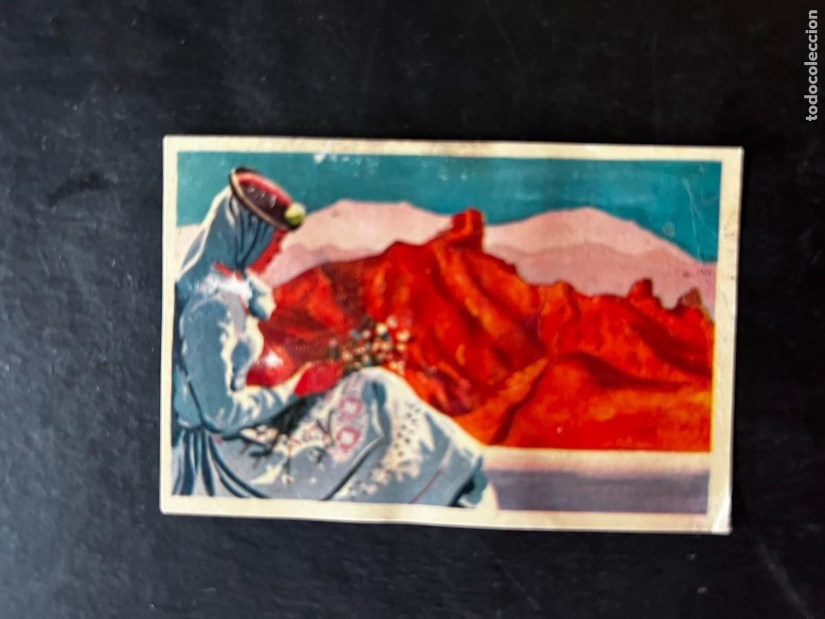 Colecionismo Cromos antigos: Cromo album COSMORAMA DE AFRICA de Chocolates Torras a&ntilde;o 1960 n&ordm; 198