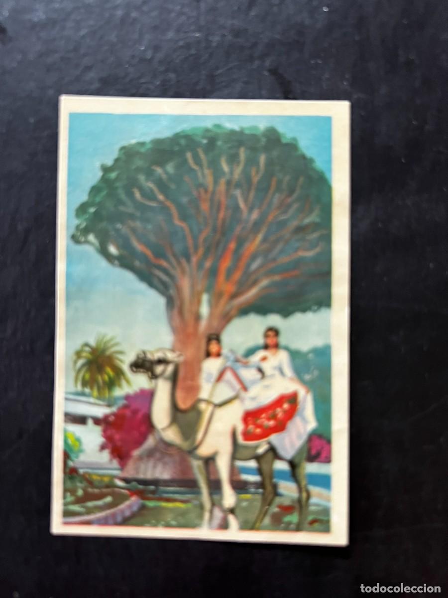 Coleccionismo cromos antiguos: Cromo album COSMORAMA DE AFRICA de Chocolates Torras a&ntilde;o 1960 n&ordm; 202