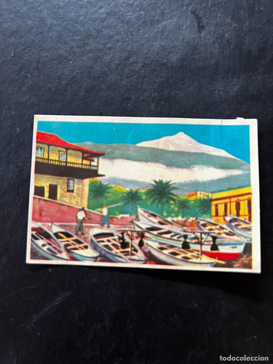 Coleccionismo cromos antiguos: Cromo album COSMORAMA DE AFRICA de Chocolates Torras a&ntilde;o 1960 n&ordm; 205