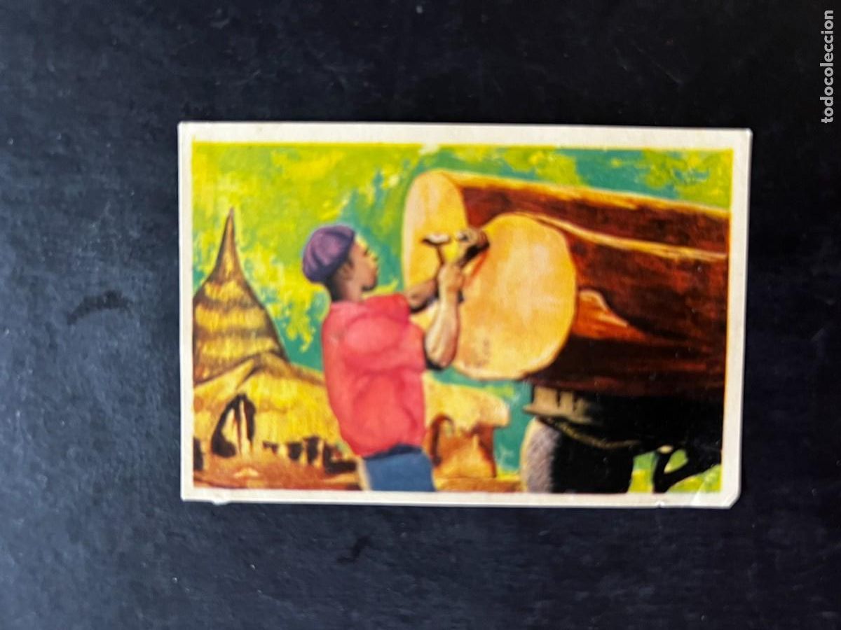 Coleccionismo cromos antiguos: Cromo album COSMORAMA DE AFRICA de Chocolates Torras a&ntilde;o 1960 n&ordm; 219