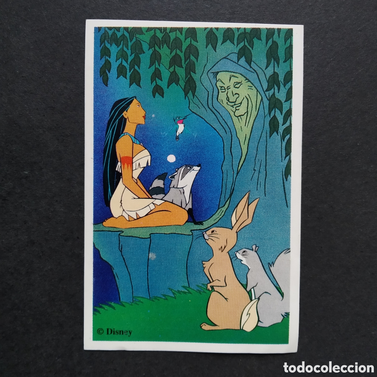 Coleccionismo cromos antiguos: CROMO - N&ordm; D - POCAHONTAS - NESTLE / PANINI - A&Ntilde;O 1996