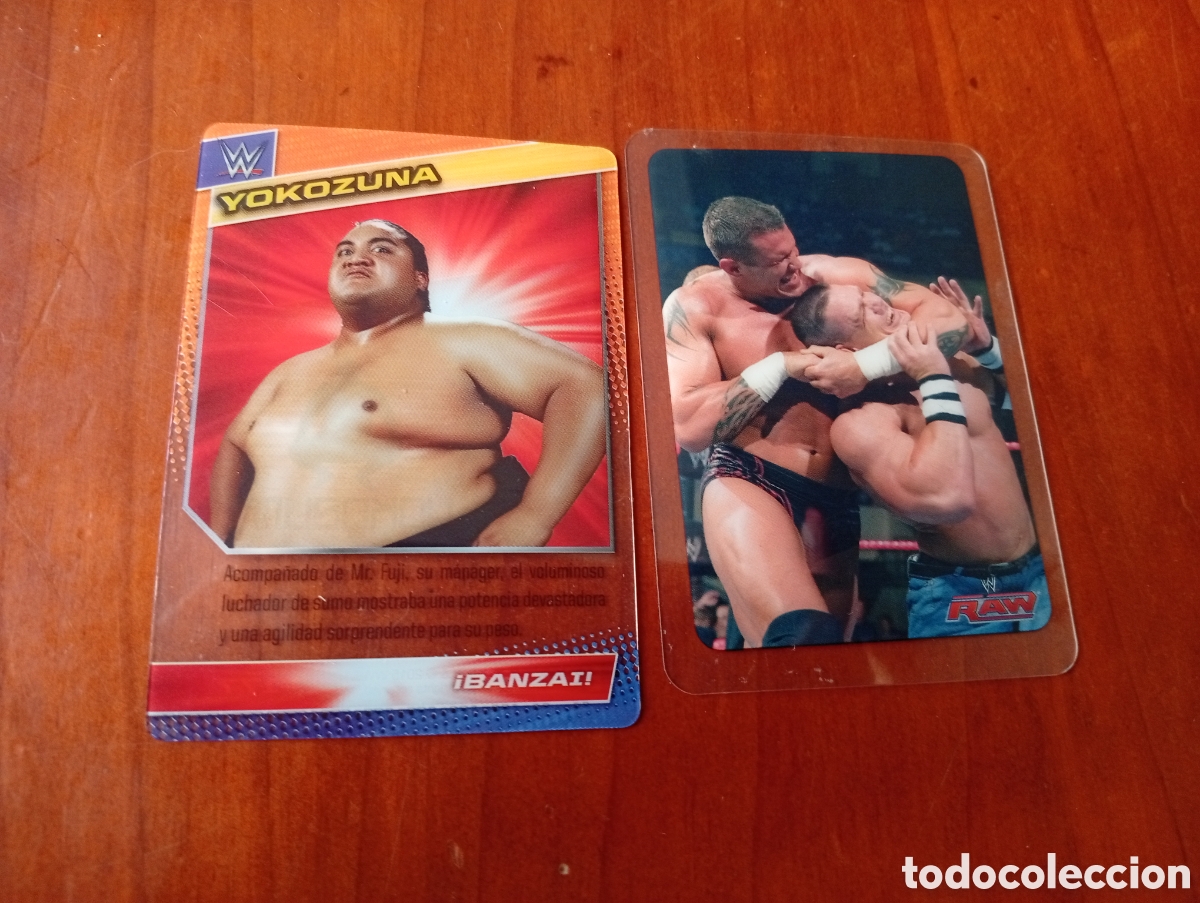Coleccionismo cromos antiguos: CROMO CROMOS TARJETAS LUCHADORES WW