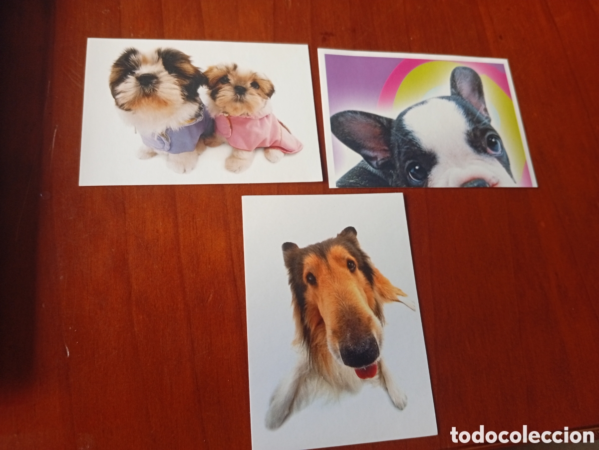 Collectionnisme Cartes &agrave; collectionner anciennes: CROMO CROMOS THE DOG NINTENDO