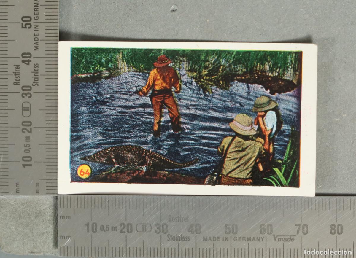 Coleccionismo cromos antiguos: CROMO. LAS MINAS DEL REY SALOMON. N- 64