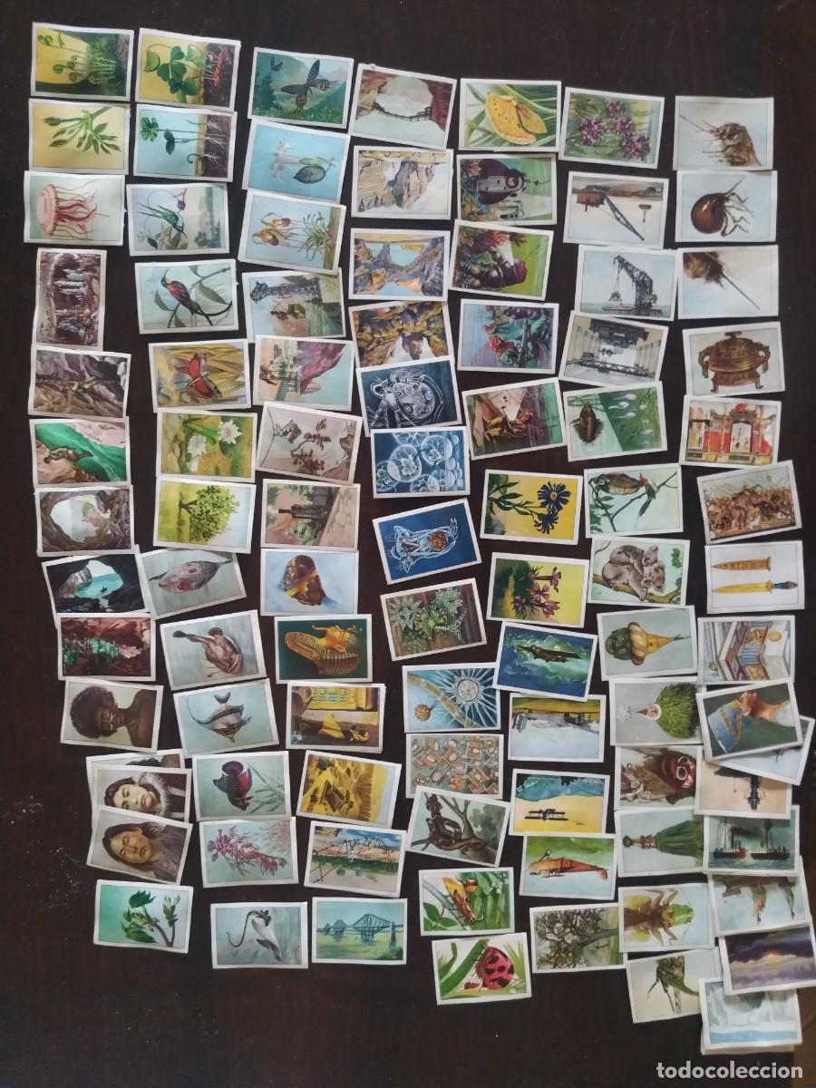 Coleccionismo cromos antiguos: LOTE 121 cromos LAS MARAVILLAS DEL MUNDO. Nestle