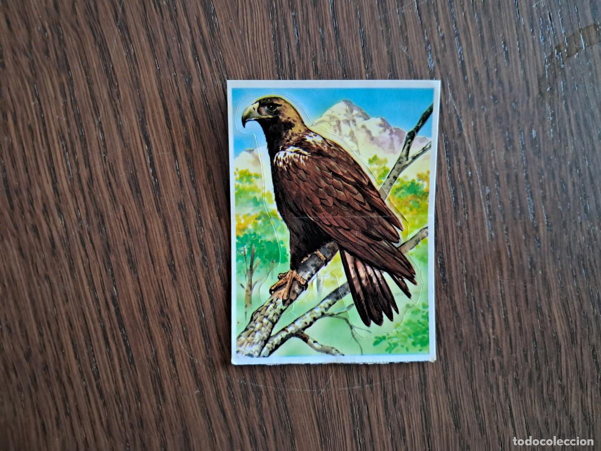 Coleccionismo cromos antiguos: CROMO DE BOLLYCAO - FAUNA EN PELIGRO - N&ordm; 6 - AGUILA IMPERIAL - NUEVA SIN USO