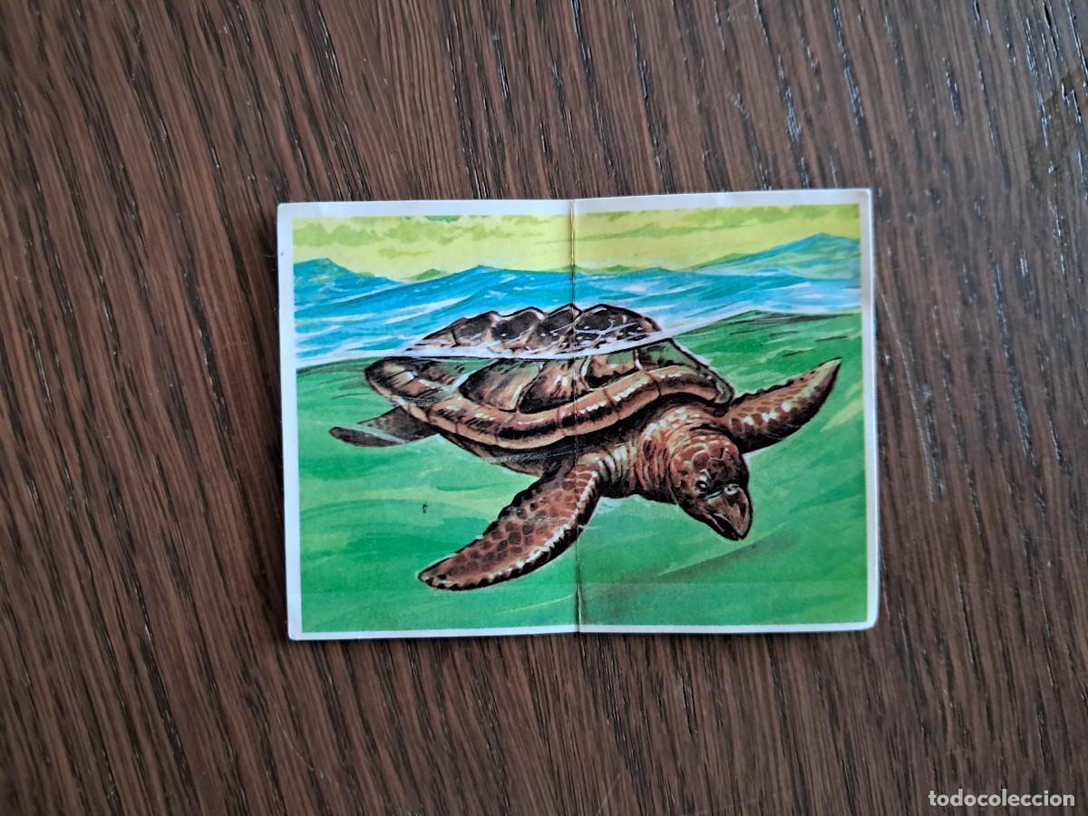 Coleccionismo cromos antiguos: cromo adhesivo, 27 Archelon Los Aut&eacute;nticos Cromos de los dinosaurios bollycao