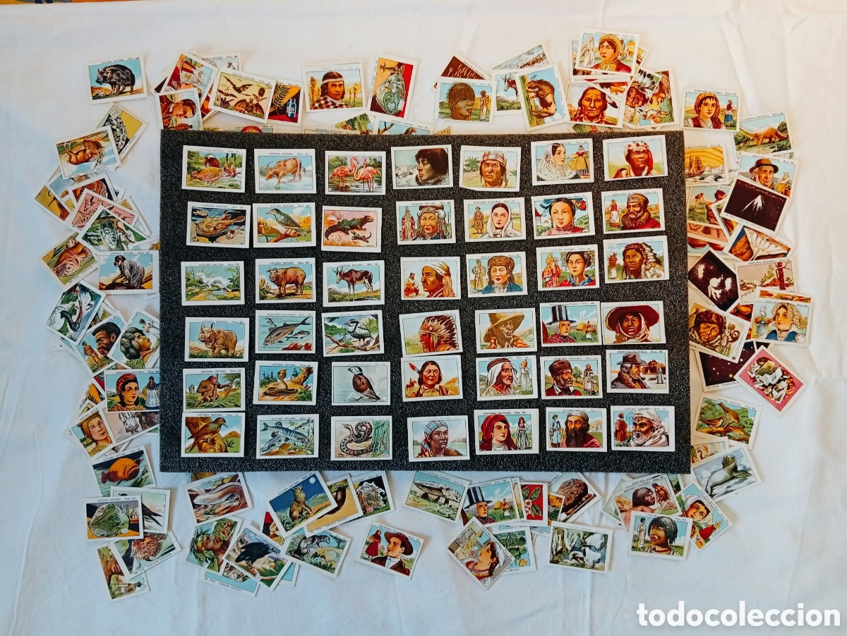 Coleccionismo cromos antiguos: Lote de 173 cromos antiguos de chocolates Juncosa