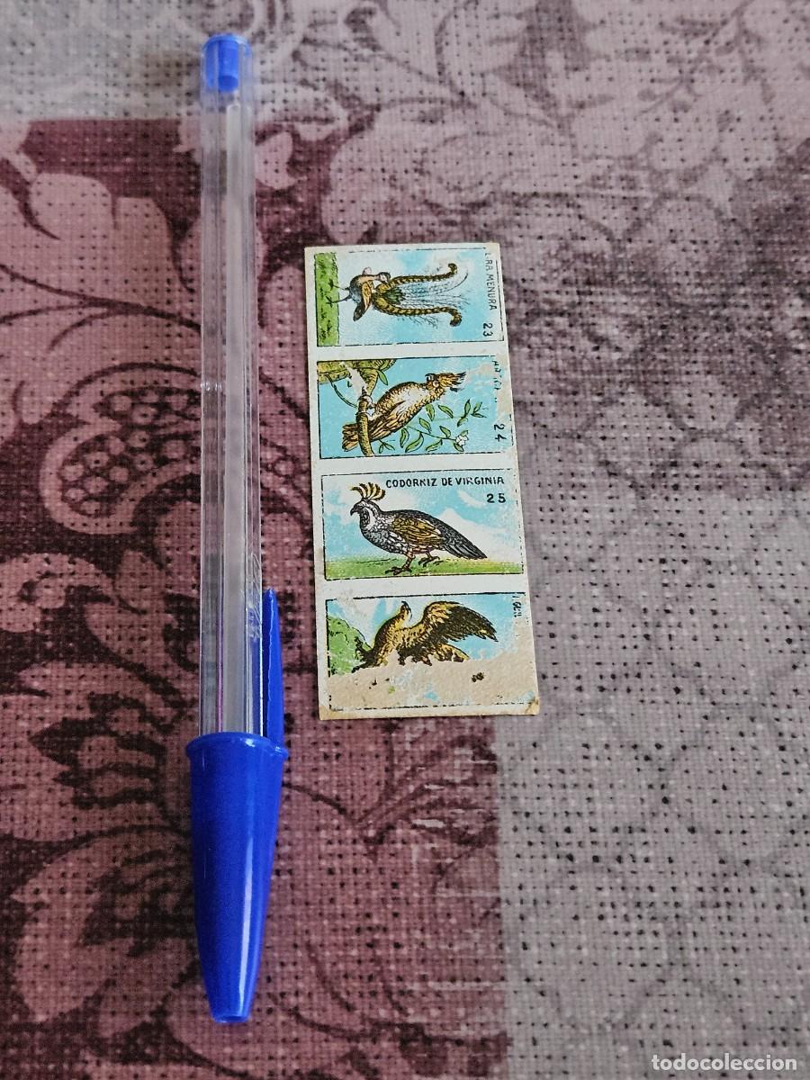 Coleccionismo cromos antiguos: Antigua Tira Vertical De 4 Cromos Antiguos De Una Colecci&oacute;n Dedicada Espec&iacute;ficamente A Las Aves.
