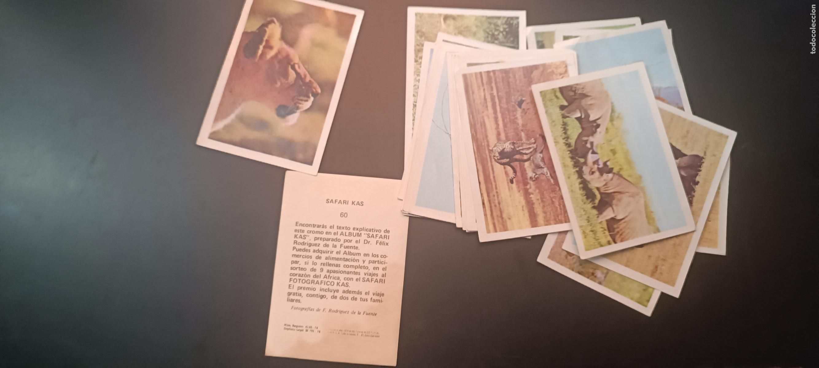 Coleccionismo cromos antiguos: 25 cromos F&Eacute;LIX RODR&Iacute;GUEZ DE LA FUENTE SAFARI KAS A&Ntilde;O 1974 BRUGUERA FHER