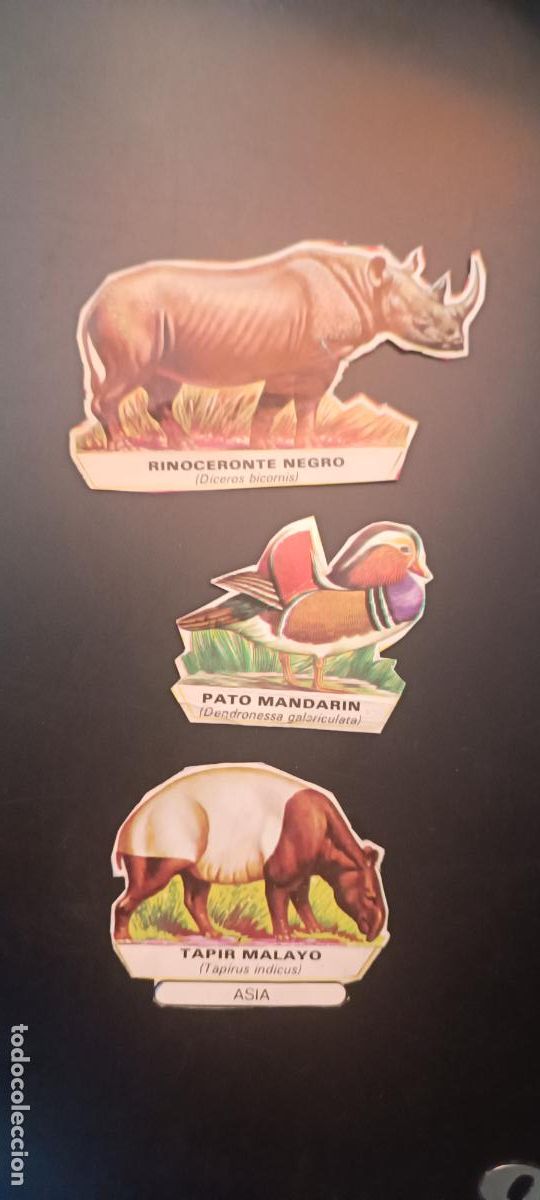 Coleccionismo cromos antiguos: 3 cromos chocolates zahor recortable animales del mundo pato mandarin - rinoceronte negro, Tapir