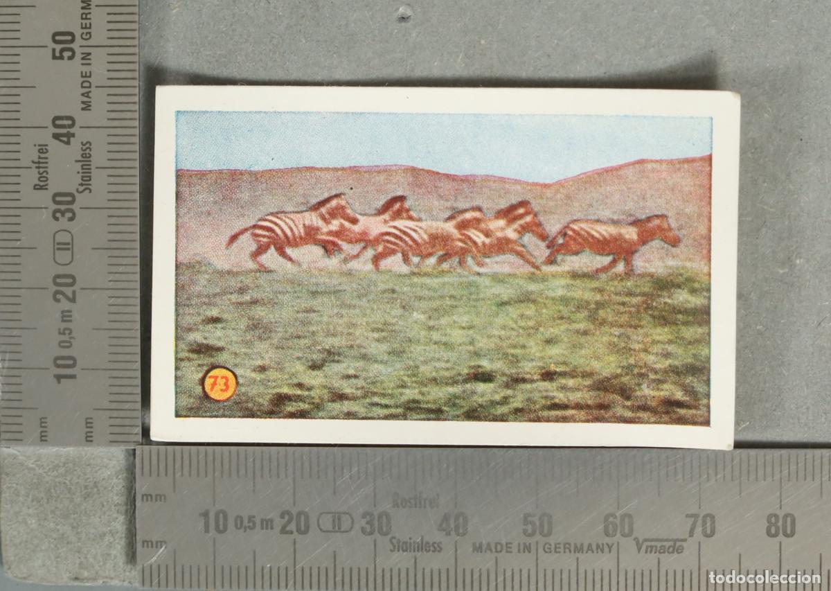 Collectable Antique Stickers: CROMO. Las Minas del Rey Salom&oacute;n 73