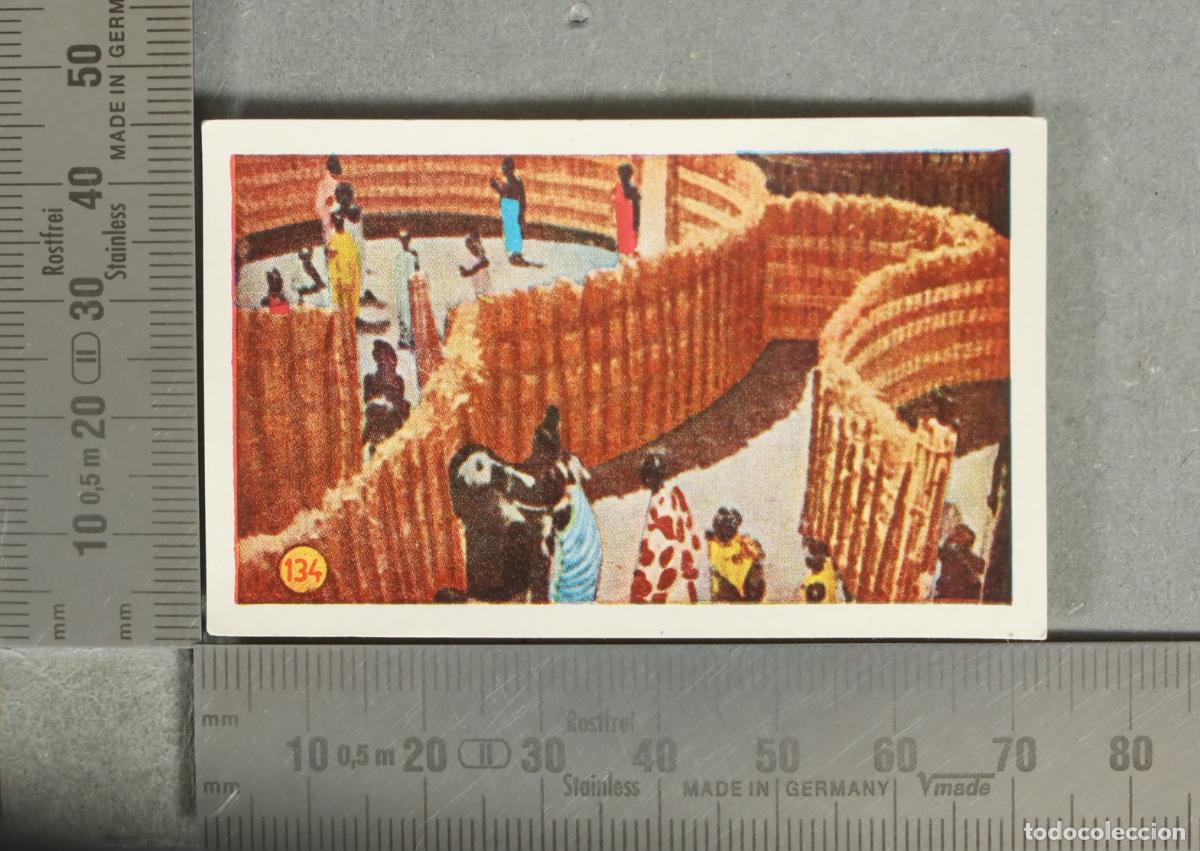 Collectable Antique Stickers: CROMO. Las Minas del Rey Salom&oacute;n 134