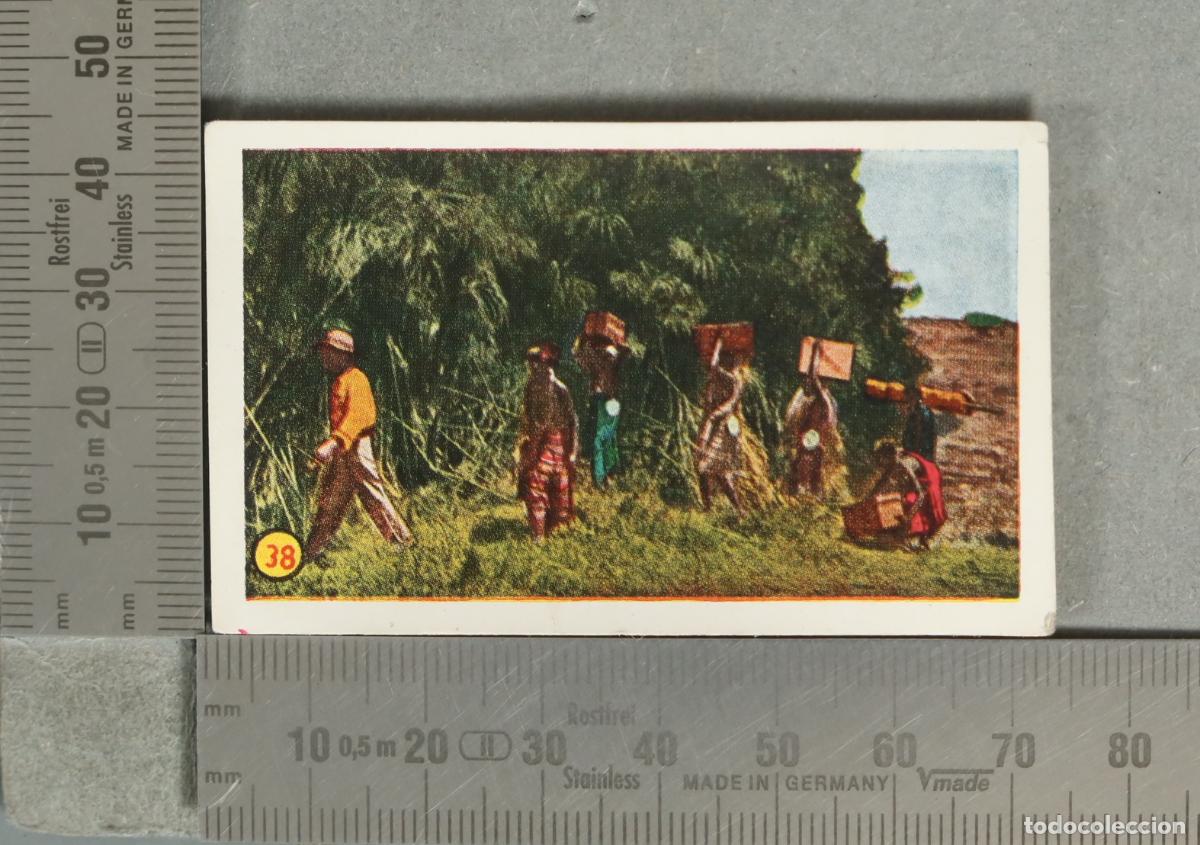Coleccionismo cromos antiguos: CROMO. Las Minas del Rey Salom&oacute;n 38