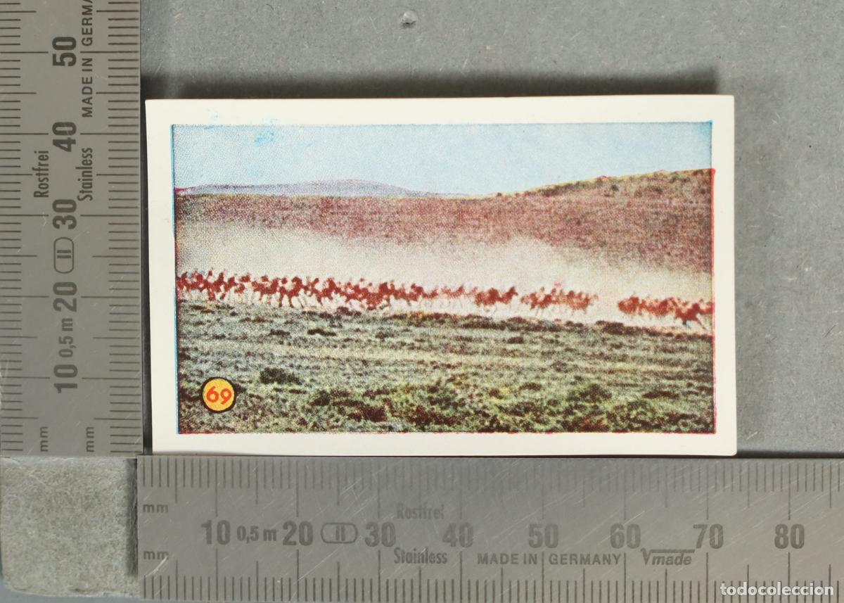 Coleccionismo cromos antiguos: CROMO. Las Minas del Rey Salom&oacute;n - 69