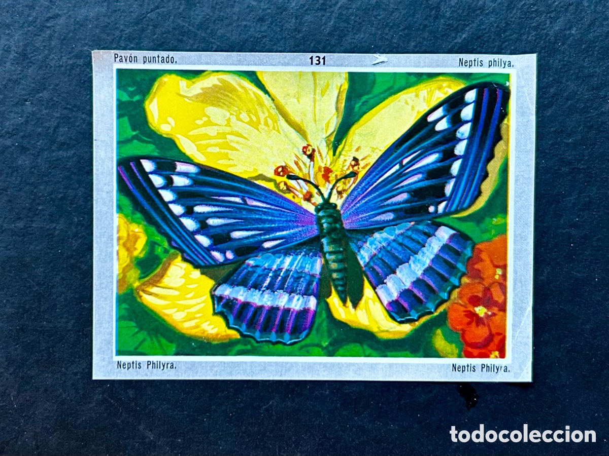 Coleccionismo cromos antiguos: CROMO ALBUM VIDA Y COLOR 3 DE ALES 1970. N&ordm; 131