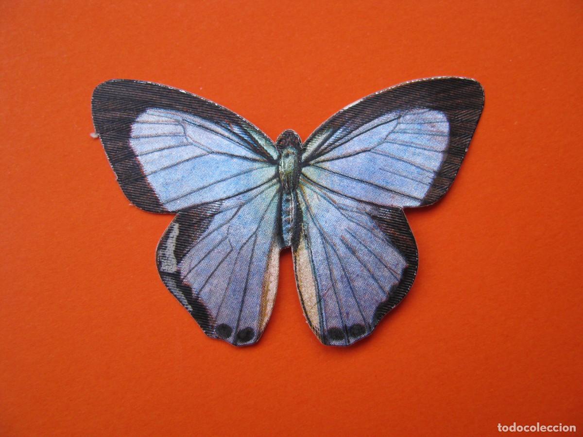 Coleccionismo cromos antiguos: CROMO DE PANRICO. MARIPOSAS. LACROIX & LEBEAU, PARIS. EDIGRAF, BARCELONA N&ordm; 100