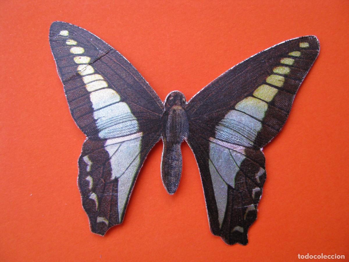 Coleccionismo cromos antiguos: CROMO DE PANRICO. MARIPOSAS. LACROIX & LEBEAU, PARIS. EDIGRAF, BARCELONA N&ordm; 75