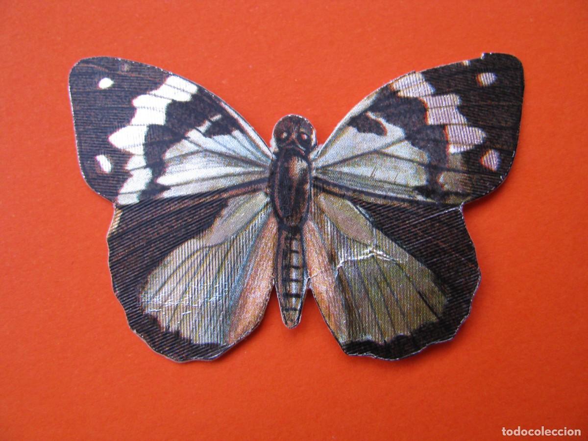 Coleccionismo cromos antiguos: CROMO DE PANRICO. MARIPOSAS. LACROIX & LEBEAU, PARIS. EDIGRAF, BARCELONA N&ordm; 68
