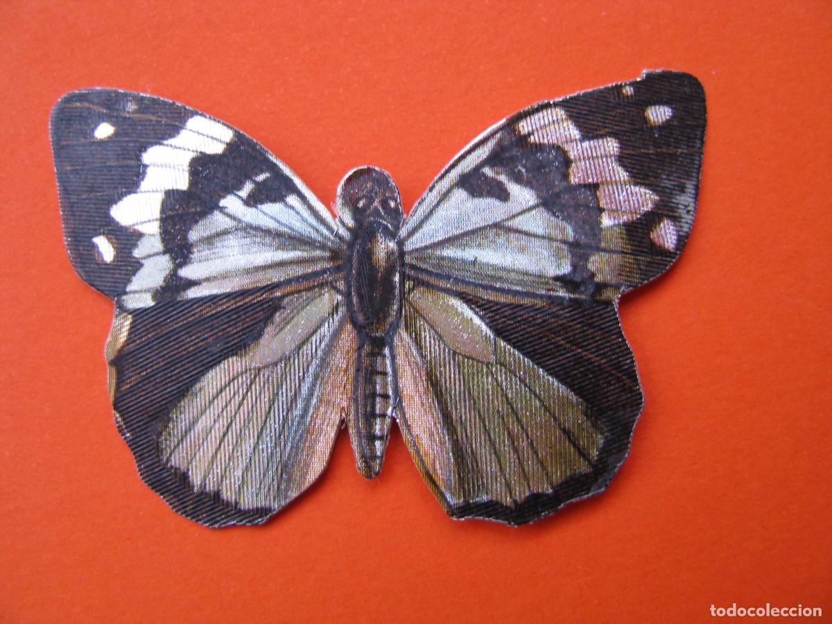 Coleccionismo cromos antiguos: CROMO DE PANRICO. MARIPOSAS. LACROIX & LEBEAU, PARIS. EDIGRAF, BARCELONA N&ordm; 68