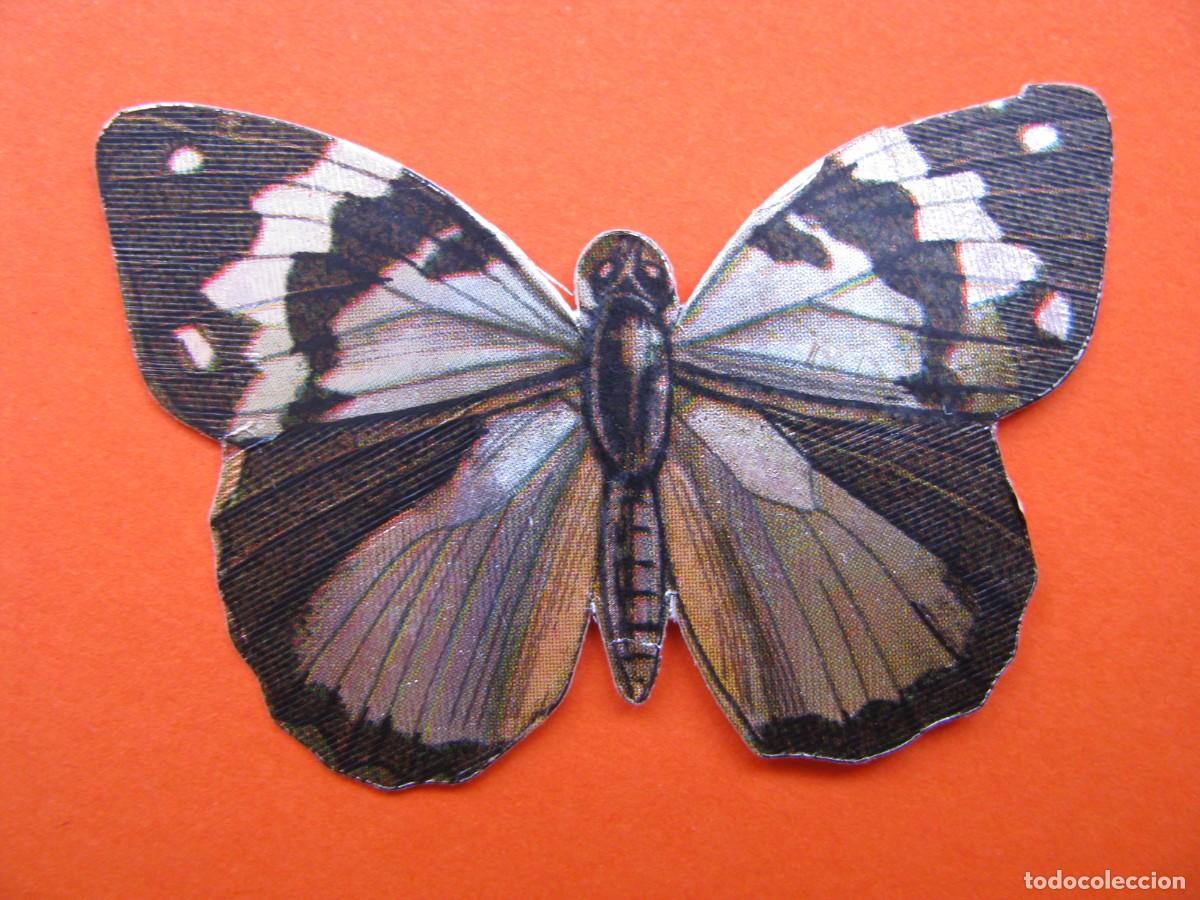 Coleccionismo cromos antiguos: CROMO DE PANRICO. MARIPOSAS. LACROIX & LEBEAU, PARIS. EDIGRAF, BARCELONA N&ordm; 68