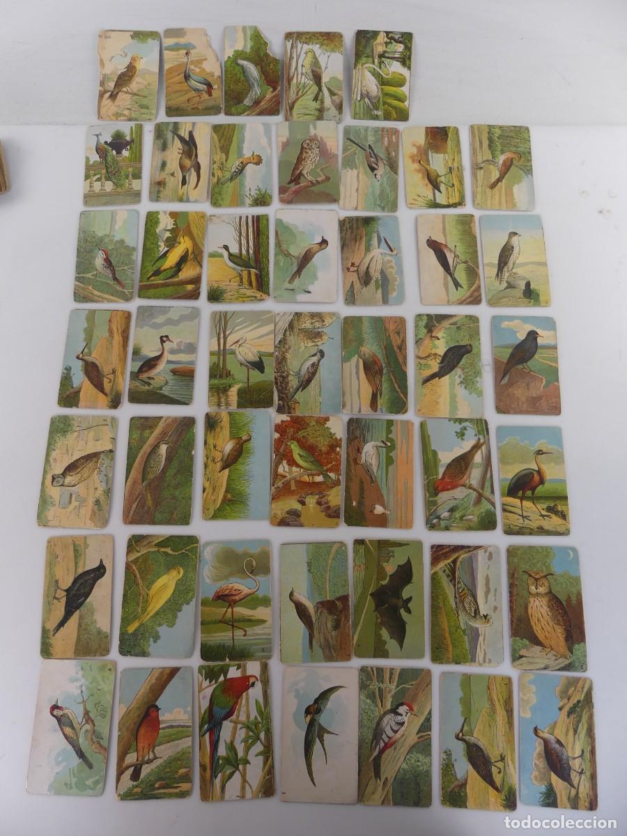 Coleccionismo cromos antiguos: COLECCION LOTE DE 47 CROMOS DE CHOCOLATES AMATLLER