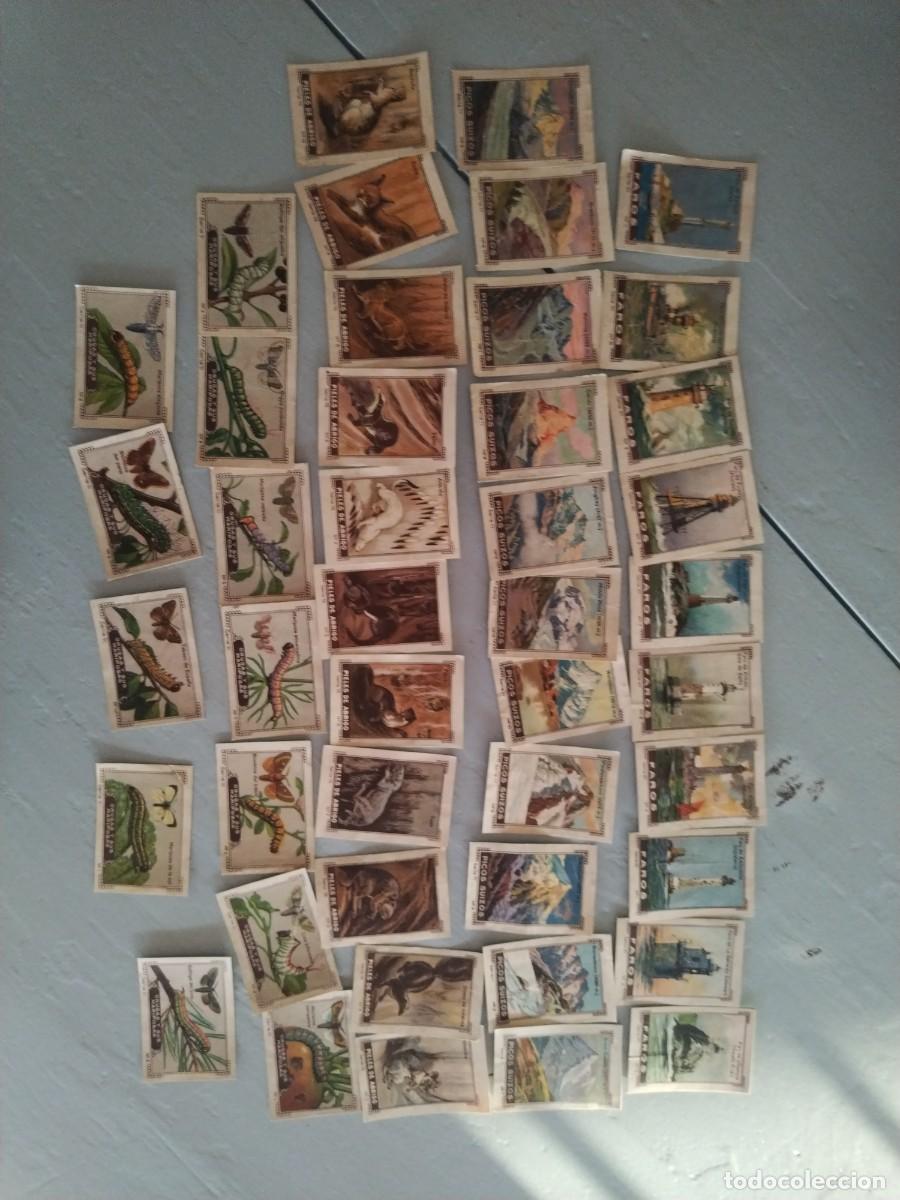 Coleccionismo cromos antiguos: Lote 43 cromos diferentes MI ALBUM, de Nestle