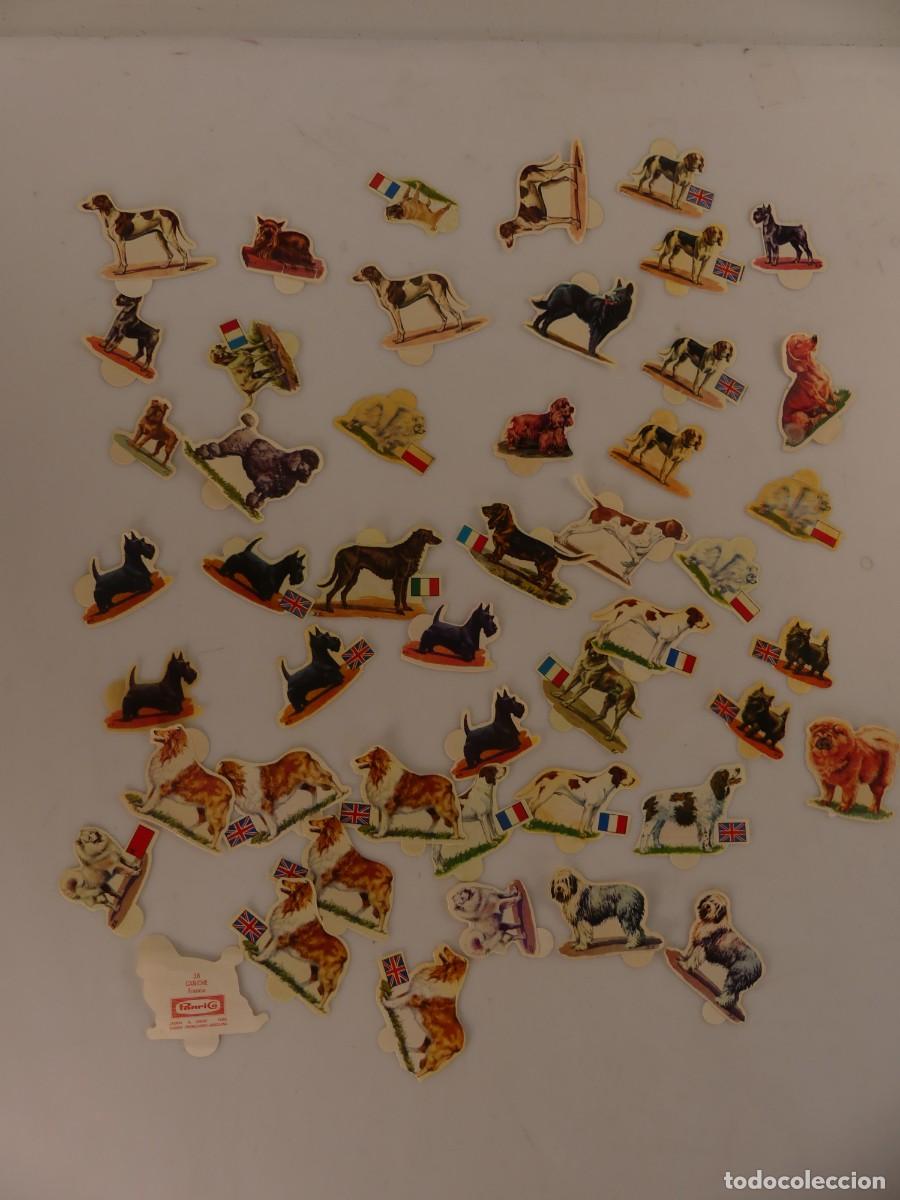 Collectable Antique Stickers: LOTE DE CROMOS PERROS DE PANRICO