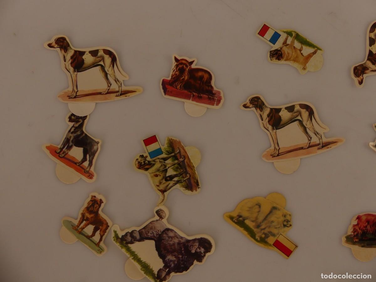Coleccionismo cromos antiguos: LOTE DE CROMOS PERROS DE PANRICO - Foto 3