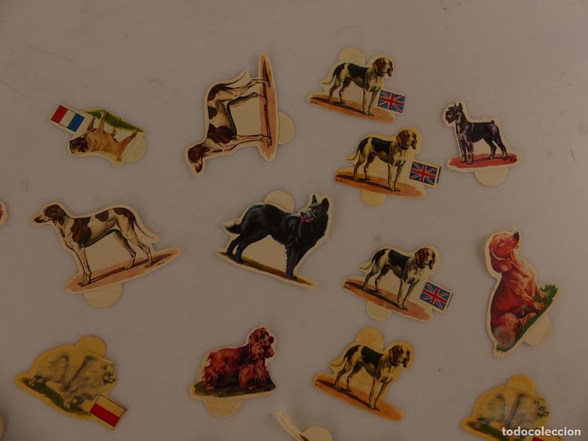 Coleccionismo cromos antiguos: LOTE DE CROMOS PERROS DE PANRICO - Foto 4